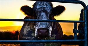 Cowspiracy: The Sustainability Secret screenings
