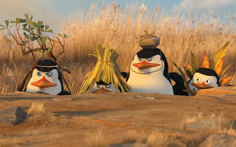 Totally madcap penguins!