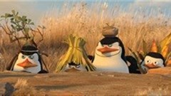 Totally madcap penguins!