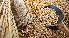 SAB, WWF-SA launch sustainable farming programme