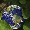 Climate change: a clear and present danger