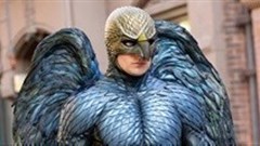 Masterful Birdman soars triumphantly