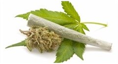 Increased impulsivity and hostility linked to recreational marijuana use in young adults