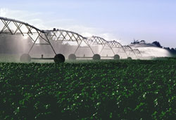 Comment is invited regarding on draft irrigation water regulations. (Image: Public Domain)