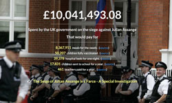 WikiLeaks site slams costs of policing Assange