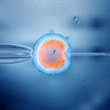 Infertility increase is concerning but not unbeatable