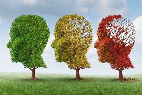 Dementia set to double globally, WISH to stop it