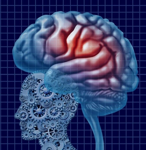 Ignore neuroscience at your 2015 marketing campaign's peril