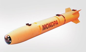 The Mokopa missile – flying centre stage through a fog of intrigue. (Image extracted from the )