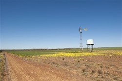 Heavy toll as Australian farmers struggle through drought