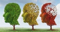 Dealing with Dementia as research continues with international funding