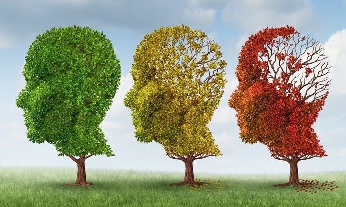 Dealing with Dementia as research continues with international funding
