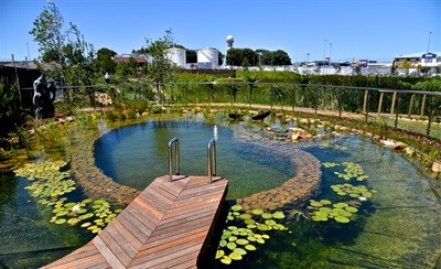 Hotel Verde's Eco Pool