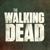 NAB Show features 'The Walking Dead' as panellists