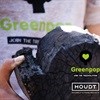 For Greenpop, the grass is greener with Houdt