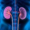 Don't wait for &quot;silent killer&quot; symptoms - get tested for kidney disease