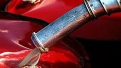 Fuel tax not so high after all