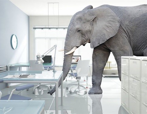 The elephant in the SAARF boardroom