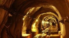 Consolidate gains in Gold Sector