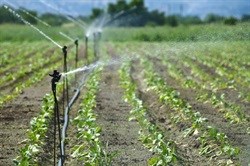 Farming sector needs to apply for water use license
