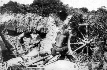 Australian gunners in action during the campaign. (Image: Public Domain)