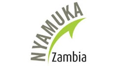 Nyamuka Zambia Business Plan competition receives flood of entries