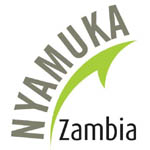 Nyamuka Zambia Business Plan competition receives flood of entries