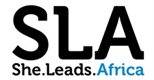 She Leads Africa launches 2015 Entrepreneur Showcase