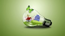 Bank backs SA's renewable energy plan from inception