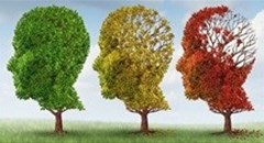 Parkinson's, Alzheimer's, MND may soon be a fear of the past