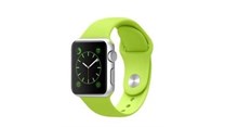 Apple Watch bobs to local shores