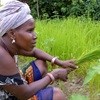 Women want greater inclusion in agribusiness
