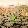 Climate change to be a game-changer