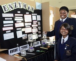 Exhibit your science project at FFS Expo for Young Scientists