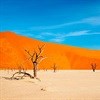 Namibia: Find your way with pocket guide app