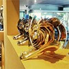 Gloo@Ogilvy brings home the only Cannes Lion for digital work