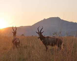 Endless family fun offered at The Kingdom of Swaziland