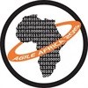 Time to get Agile in Africa is running out