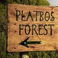 First Car Rental supports Platbos Forest