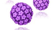 HPV as common in men as women