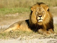 Cecil, king of the news