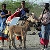 Maasai women lead solar revolution in Kenya
