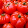 Province ripe for tomato boom