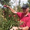 Tru-Cape Fruit Marketing announces discovery of new apple