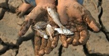 UCT study: Climate change and overfishing