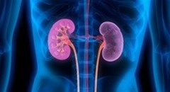 Kidney Awareness Week - are you aware of symptoms?