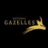 National Gazelles programme aims to assist SMEs