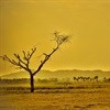 Southern Africa will feel the heat