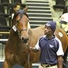 Thoroughbred Breeders Association shares Two Year Old Sale results