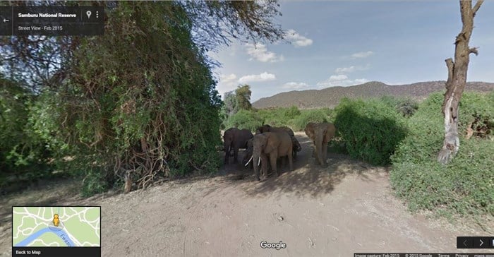 Eyes on elephants as Google cameras snap Kenya reserve
